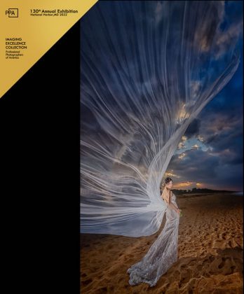 2021 PPA International Photographic Competition<br>IMAGING EXCELLENCE COLLECTION 最優秀賞