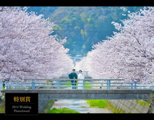 2014 Wedding PhotoAward 特別賞