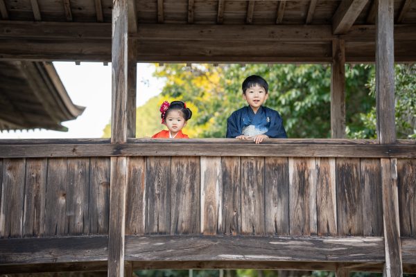 前回の撮影がとても良かったので七五三もお願いしました。